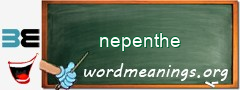 WordMeaning blackboard for nepenthe